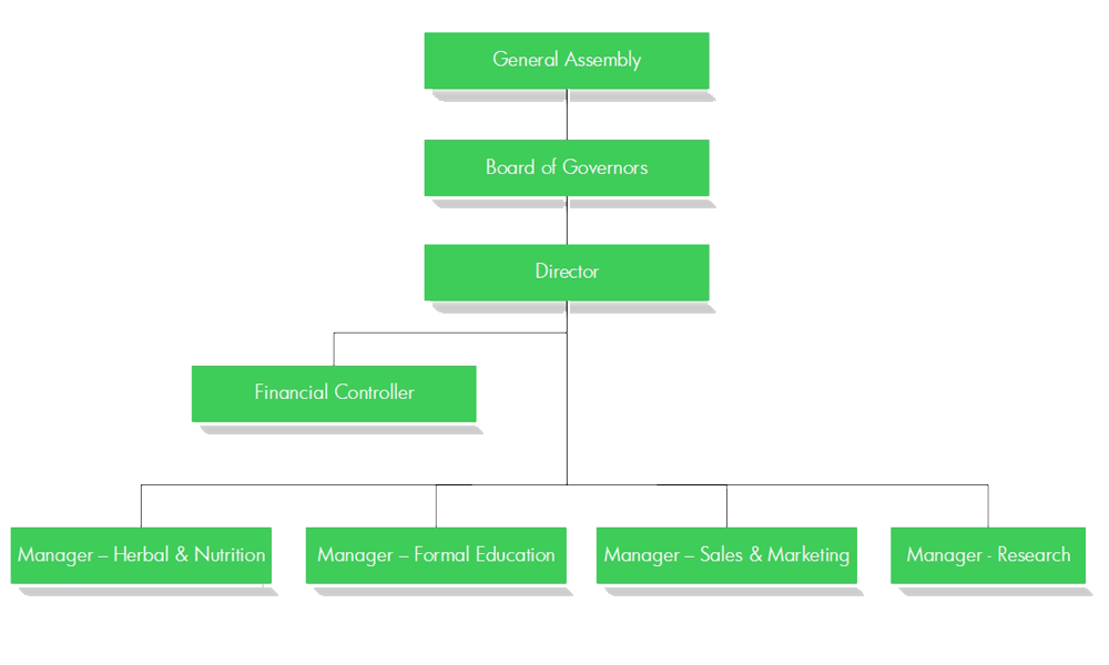 Biggi Family Project Organogram